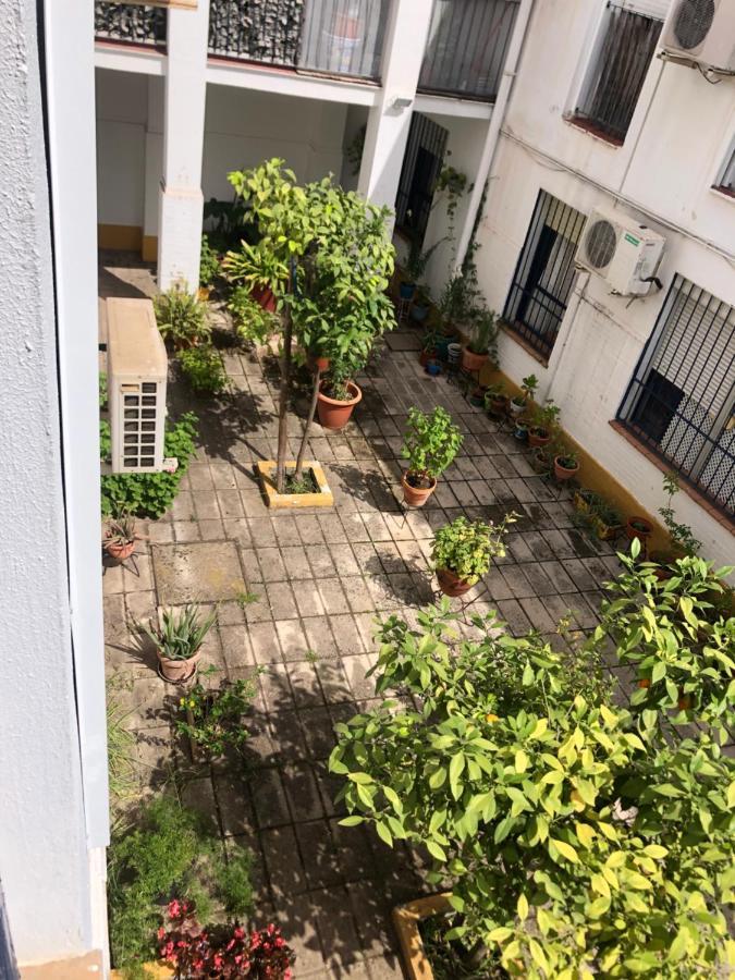 Apartamento Plaza Santa Lucia Renovado Febrero 2025 Sevilla Kültér fotó